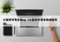 小程序开发文档ap（小程序开发文档湖南岚鸿）