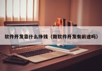 软件开发靠什么挣钱（做软件开发有前途吗）