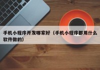 手机小程序开发哪家好（手机小程序都用什么软件做的）