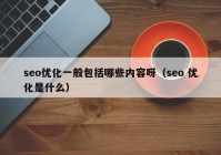 seo优化一般包括哪些内容呀（seo 优化是什么）