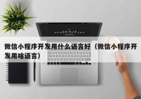 微信小程序开发用什么语言好（微信小程序开发用啥语言）