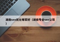湖南seo优化哪家好（湖南专业seo公司）